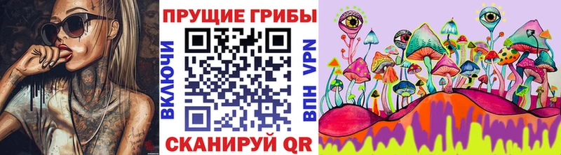 мориарти какой сайт  Бикин  Псилоцибиновые грибы Psilocybine cubensis 